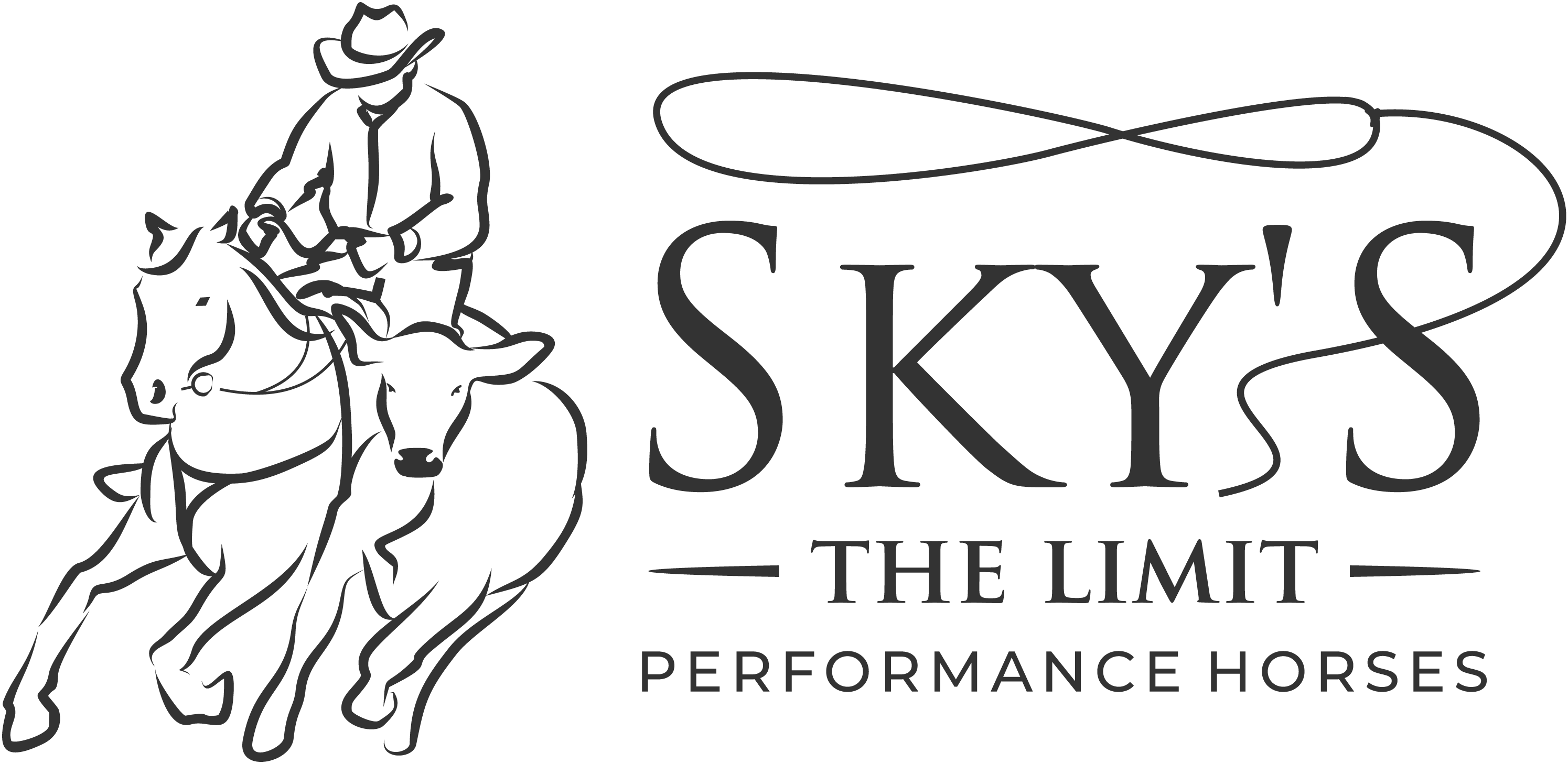 Sky's The Limit Performance Horses